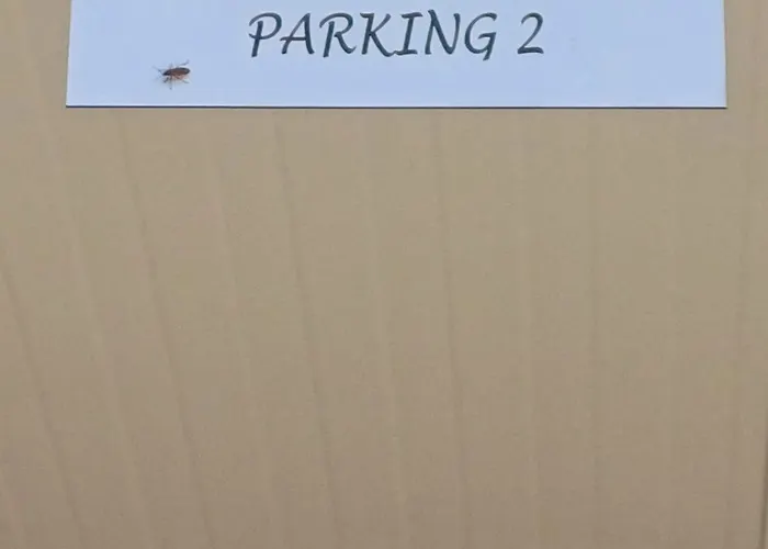 Armani 3* Ρόβινι